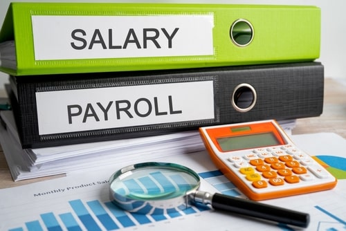 salary and payroll binders